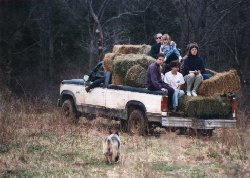 Hayride